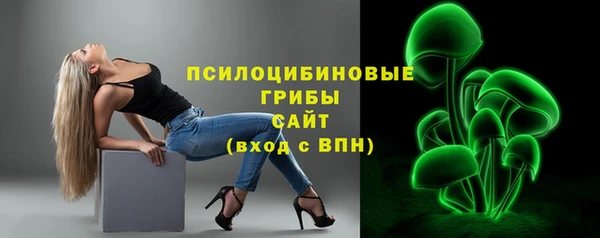 spice Ладушкин